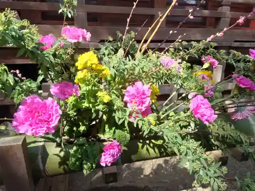 座間神社(神奈川県)