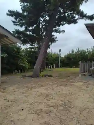 八重垣神社(宮城県)