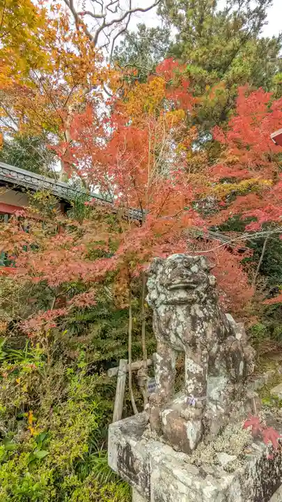鍬山神社(京都府)