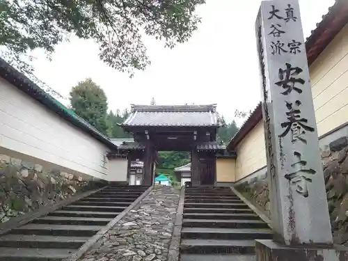 安養寺  の狛犬