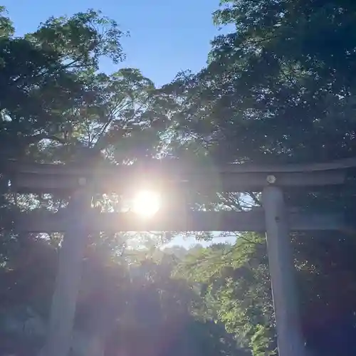 枚岡神社の鳥居