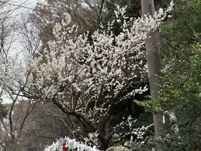 前原御嶽神社(千葉県)