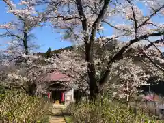 長念寺の自然