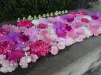 清浄院の手水舎