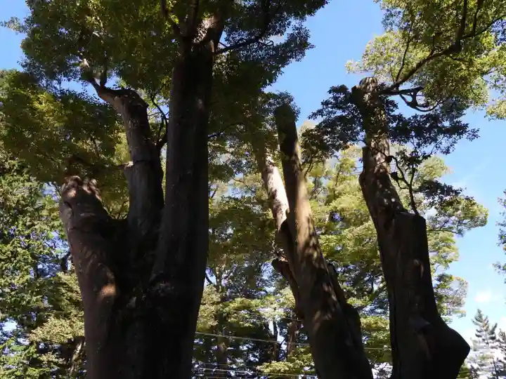 諏訪大社上社前宮(長野県)