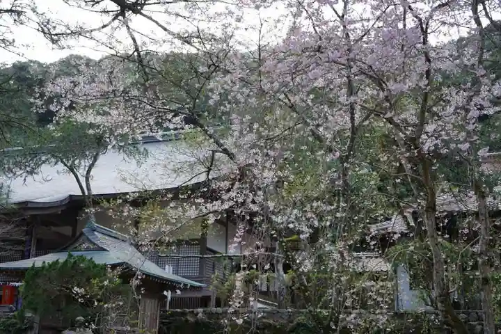 大寧寺(山口県)