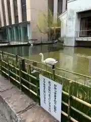 頂法寺（六角堂）の動物