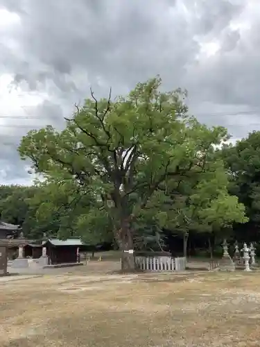 松原神社の自然