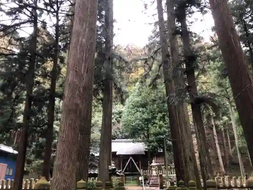 雷神社の建物その他