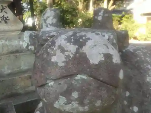 津田天満神社の狛犬