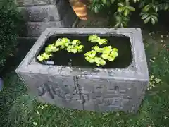 薭田神社の手水