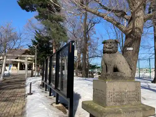 江南神社の狛犬