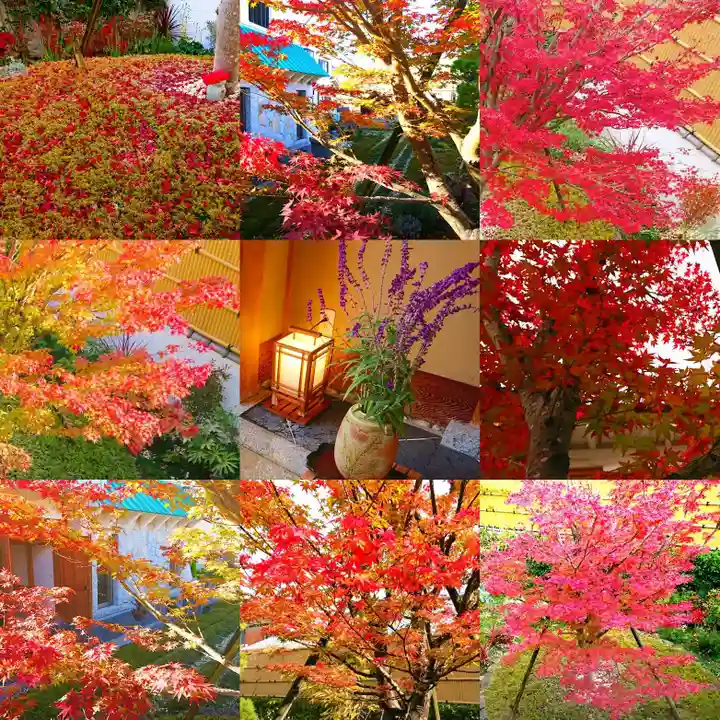 寿量山 速成寺の自然