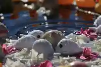 阿邪訶根神社の手水舎