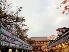 浅草寺(東京都)