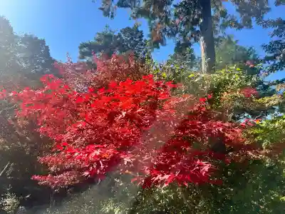常樂寺(滋賀県)
