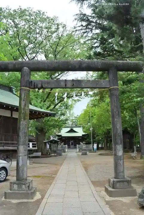 小杉神社(神奈川県)