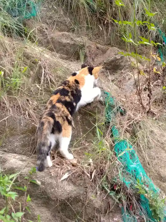 岡寺(龍蓋寺)(奈良県)