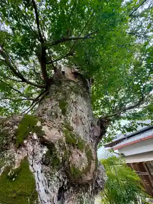 蔵林寺(京都府)