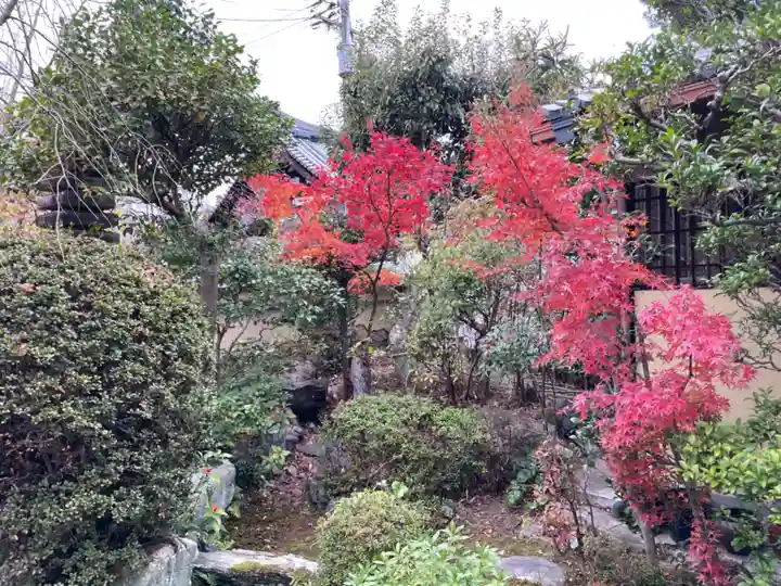 円常院(圓常院) enjoyntemple(京都府)