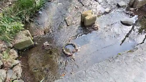 賀茂御祖神社（下鴨神社）(京都府)