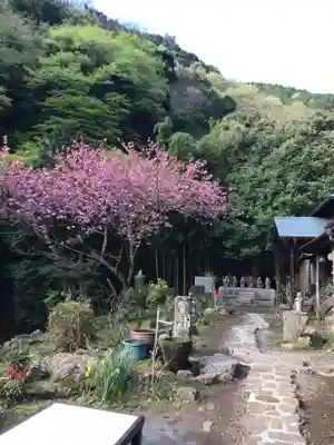 茶湯寺(神奈川県)