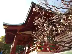 亀戸天神社の自然