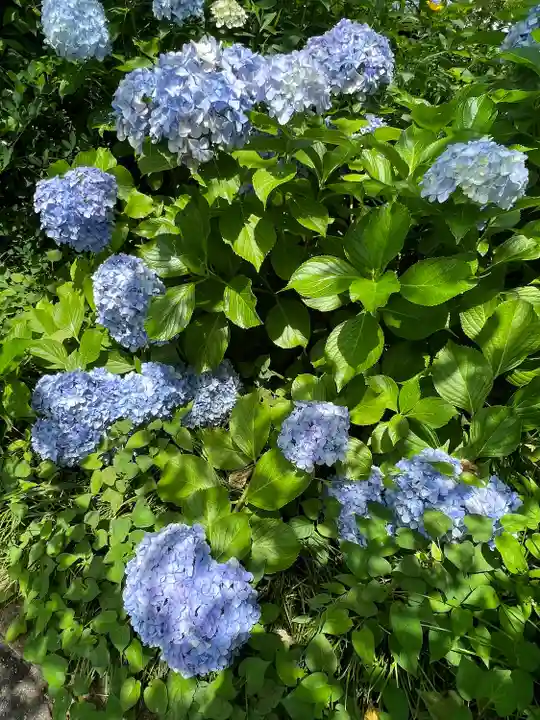 高麗神社(埼玉県)