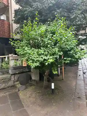 小野照崎神社(東京都)