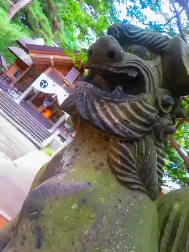 大谷地神社の狛犬