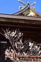 湯島天満宮(東京都)