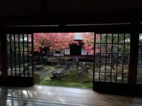 建仁寺（建仁禅寺）の庭園