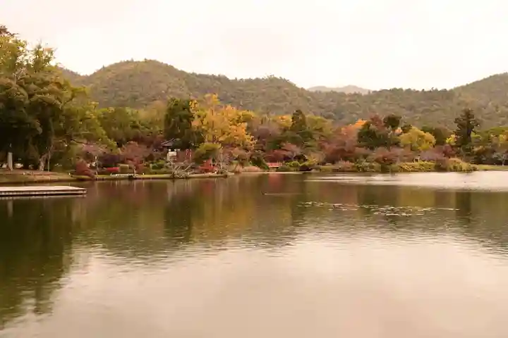 大覚寺(京都府)
