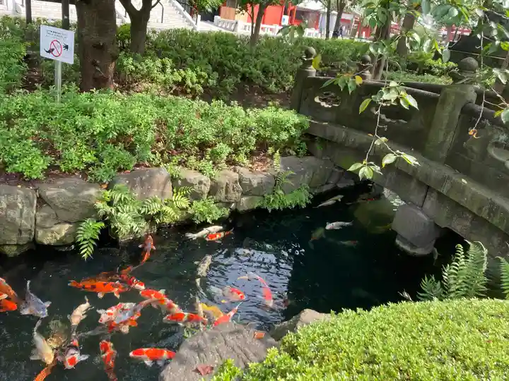 浅草寺の庭園