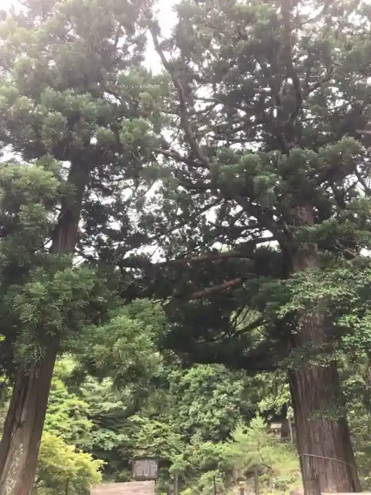 大瀧神社の自然