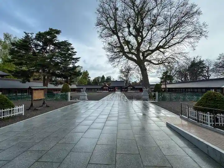 北海道護國神社の景色