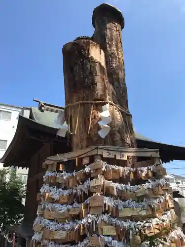 松戸神社の絵馬