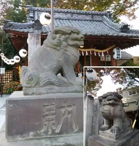 川越熊野神社の狛犬