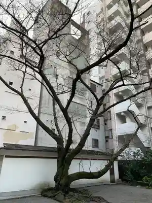 御津八幡宮(大阪府)