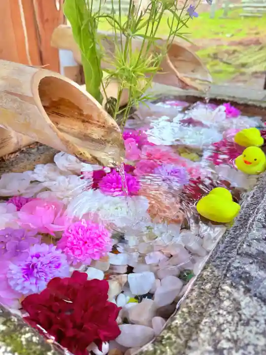 鏑八幡神社の{uncategorized: "未分類", other: "その他", undefined: "問題あり", building: "その他建物", grave: "お墓", sacred_gate: "鳥居", guardian: "狛犬", statue: "像", buddha: "仏像", history: "歴史", nature: "自然", garden: "庭園", animal: "動物", pagoda: "塔", temizu: "手水舎", mountain_gate: "山門・神門", sanctuary: "本殿・本堂", subordinate: "末社・摂社", art: "芸術", scenery: "景色", jizo: "地蔵", ema: "絵馬", goshuin: "御朱印", omikuji: "おみくじ", items: "授与品その他", amulet: "お守り", goshuincho: "御朱印帳", eats: "食事", festival: "お祭り", votive_dance: "神楽", shichigosan: "七五三参", wedding: "結婚式", experience: "体験その他", initially: "初詣", around: "周辺", anti_infection: "感染症対策"}