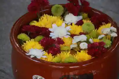 滑川神社 - 仕事と子どもの守り神の手水舎
