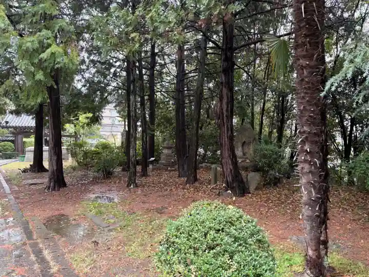 常福寺(兵庫県)