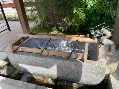 晴明神社の手水舎