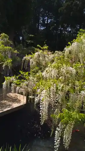 歌泉堂（春日大社神苑萬葉植物園内鎮座）(奈良県)