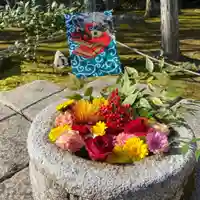 勝林寺(京都府)