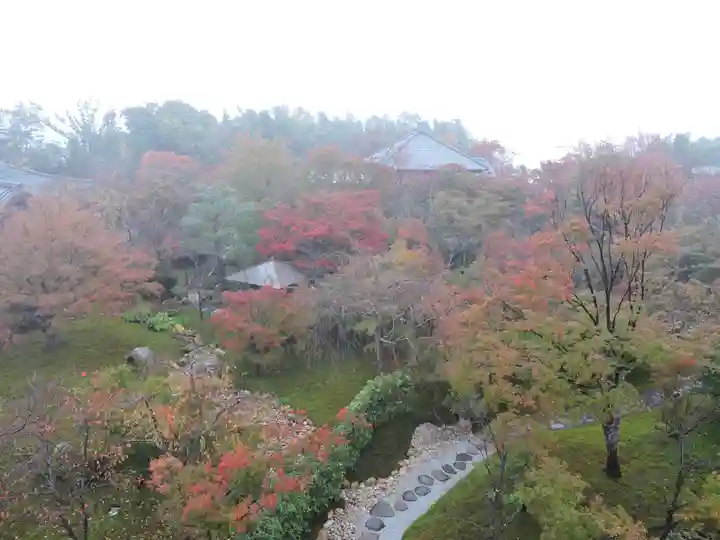 将軍塚青龍殿(青蓮院門跡)の庭園