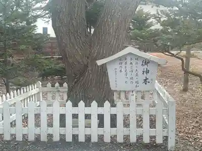 沼ノ端神社(北海道)