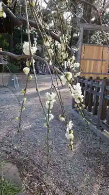 布多天神社(東京都)