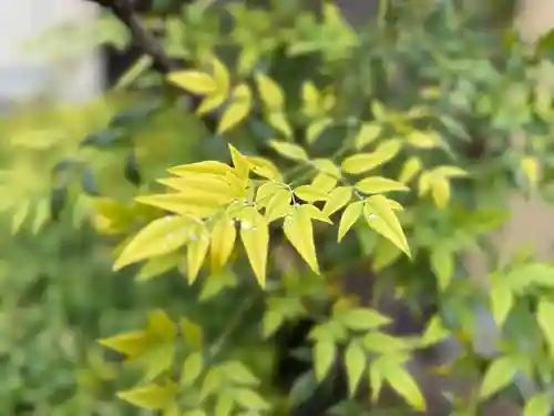 西方山極楽寺(岐阜県)