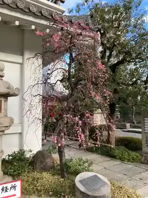 太融寺(大阪府)